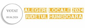 Rezultate Alegeri Locale 2024 - Baia De Criș, județul Hunedoara